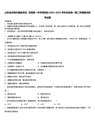 山东省济南外国语学校、济南第一中学等四校2024-2025学年生物高一第二学期期末联考试题含解析