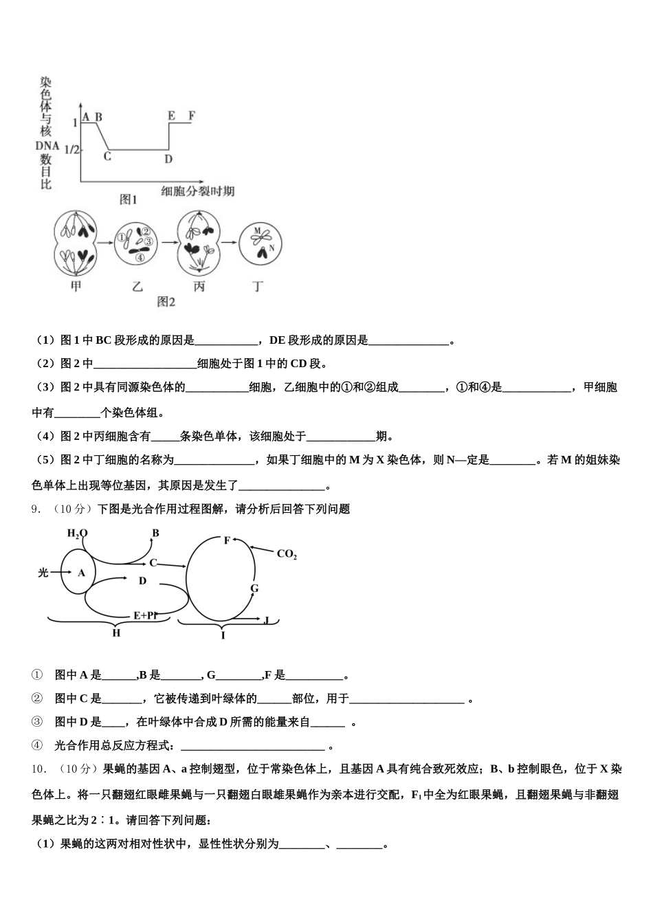 2025年山东省烟台市第二中学生物高一第二学期期末学业水平测试模拟试题含解析_第3页