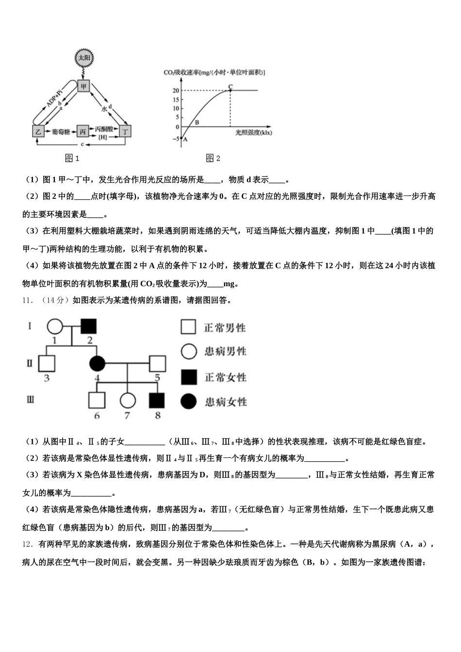 2025届山东省 生物高一第二学期期末联考试题含解析_第3页