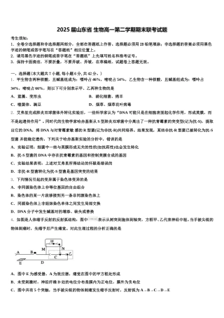 2025届山东省 生物高一第二学期期末联考试题含解析