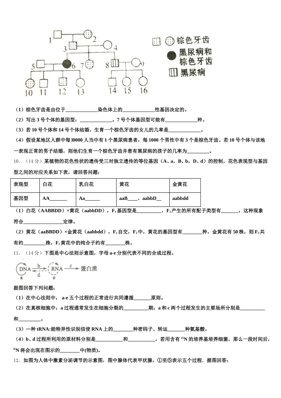 2025届山东省聊城市文苑中学生物高一第二学期期末教学质量检测试题含解析_第3页