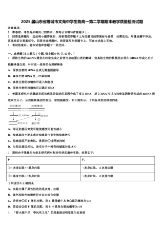 2025届山东省聊城市文苑中学生物高一第二学期期末教学质量检测试题含解析