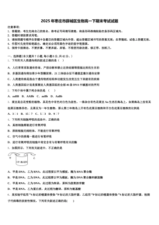 2025年枣庄市薛城区生物高一下期末考试试题含解析