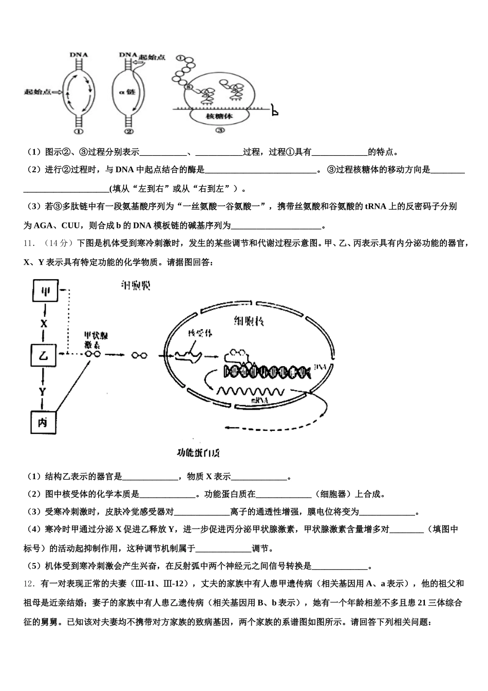 山东省泰安第四中学2025年生物高一下期末教学质量检测试题含解析_第3页