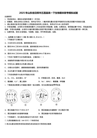 2025年山东省日照市五莲县高一下生物期末联考模拟试题含解析