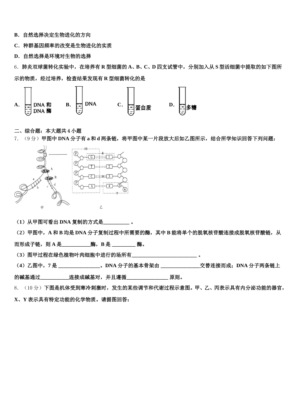 2025届山东省实验中学高一下生物期末考试模拟试题含解析_第2页