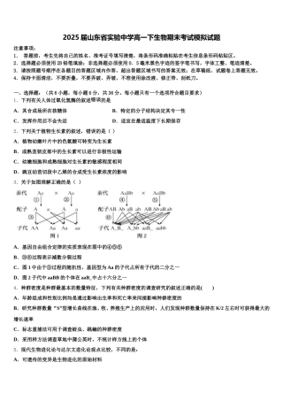 2025届山东省实验中学高一下生物期末考试模拟试题含解析
