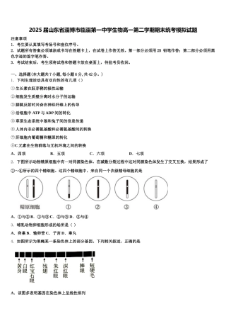 2025届山东省淄博市临淄第一中学生物高一第二学期期末统考模拟试题含解析