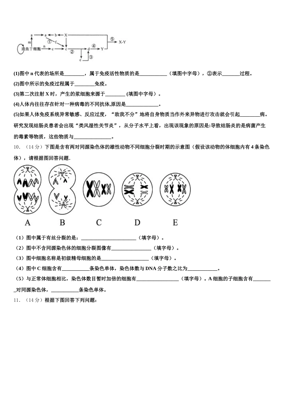 2025届山东省七校联合体生物高一下期末联考模拟试题含解析_第3页