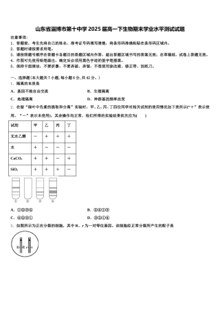山东省淄博市第十中学2025届高一下生物期末学业水平测试试题含解析
