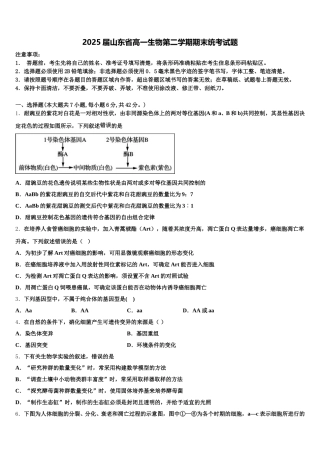 2025届山东省高一生物第二学期期末统考试题含解析