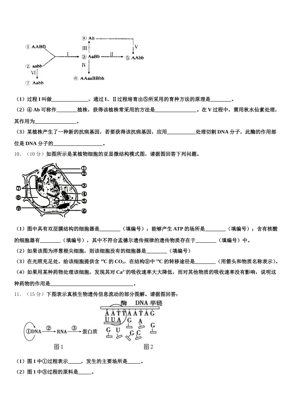 2025年山东省桓台第一中学生物高一下期末统考模拟试题含解析_第3页