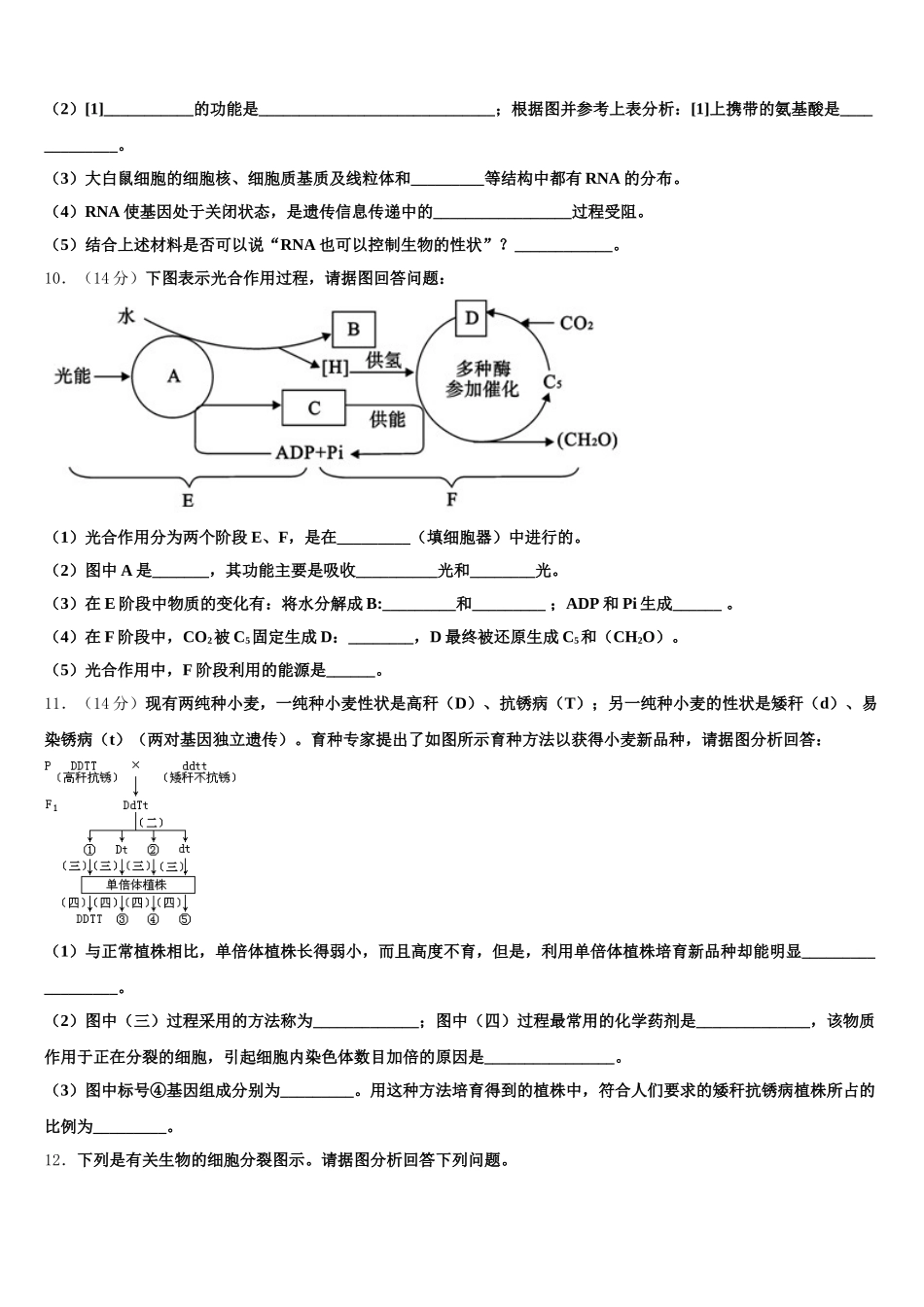 2025年枣庄市薛城区高一下生物期末考试模拟试题含解析_第3页