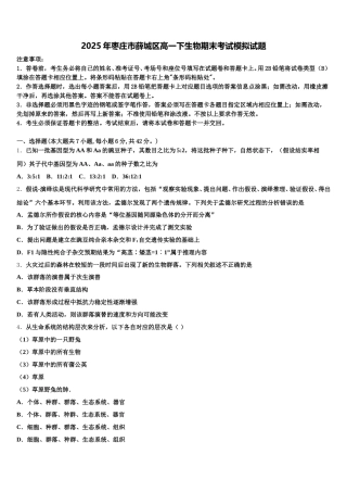 2025年枣庄市薛城区高一下生物期末考试模拟试题含解析