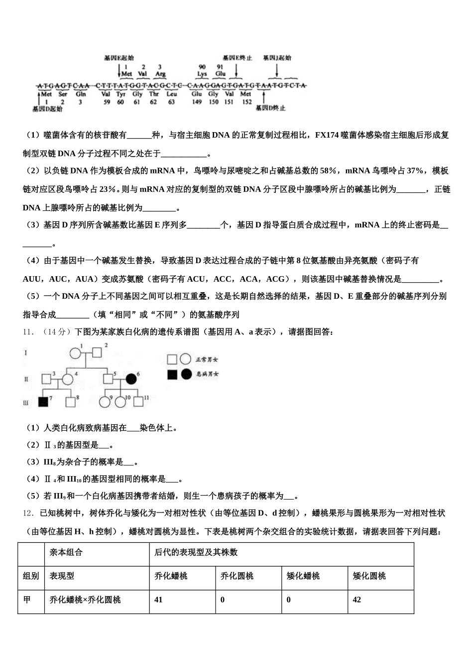 山东省夏津第一中学2025届高一下生物期末经典试题含解析_第3页