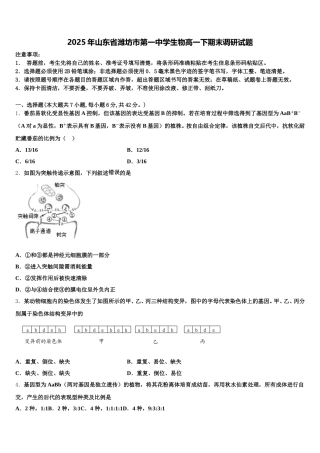 2025年山东省潍坊市第一中学生物高一下期末调研试题含解析