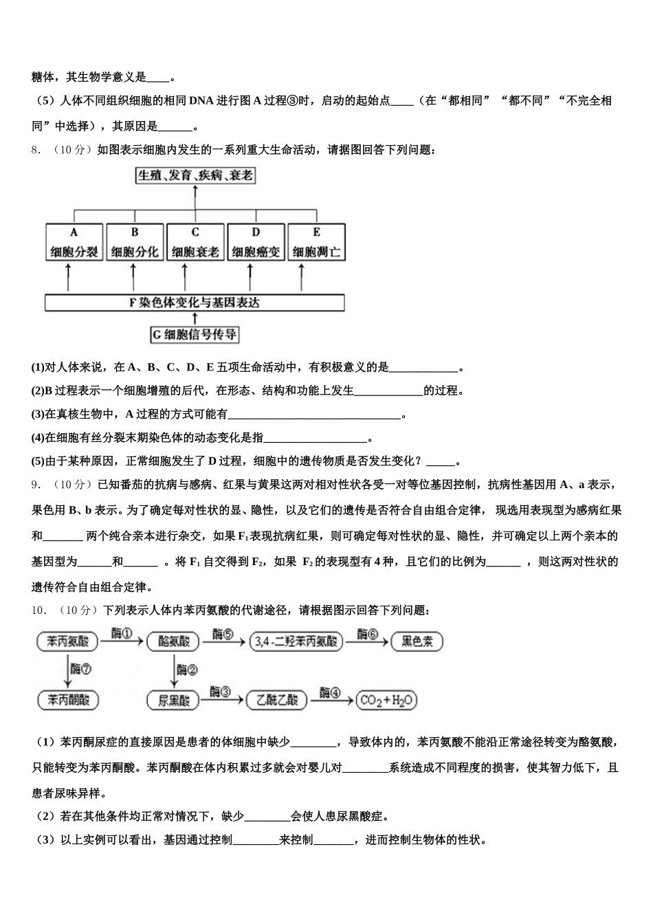 2024-2025学年山东省日照第一中学生物高一下期末统考试题含解析_第3页