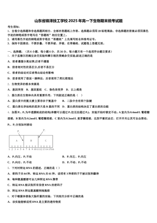 山东省锦泽技工学校2025年高一下生物期末统考试题含解析