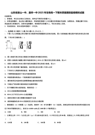 山东省梁山一中、嘉祥一中2025年生物高一下期末质量跟踪监视模拟试题含解析