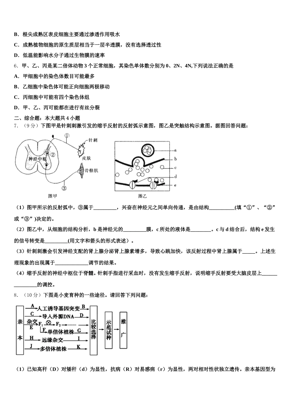 山东省曹县三桐中学年2024-2025学年高一下生物期末联考试题含解析_第2页