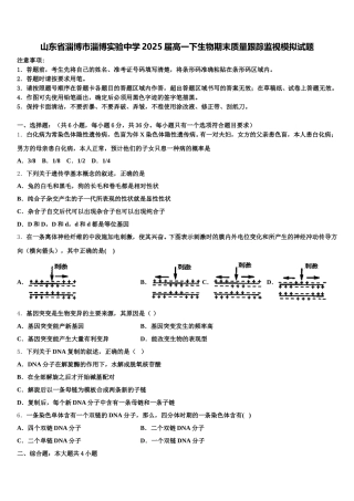 山东省淄博市淄博实验中学2025届高一下生物期末质量跟踪监视模拟试题含解析