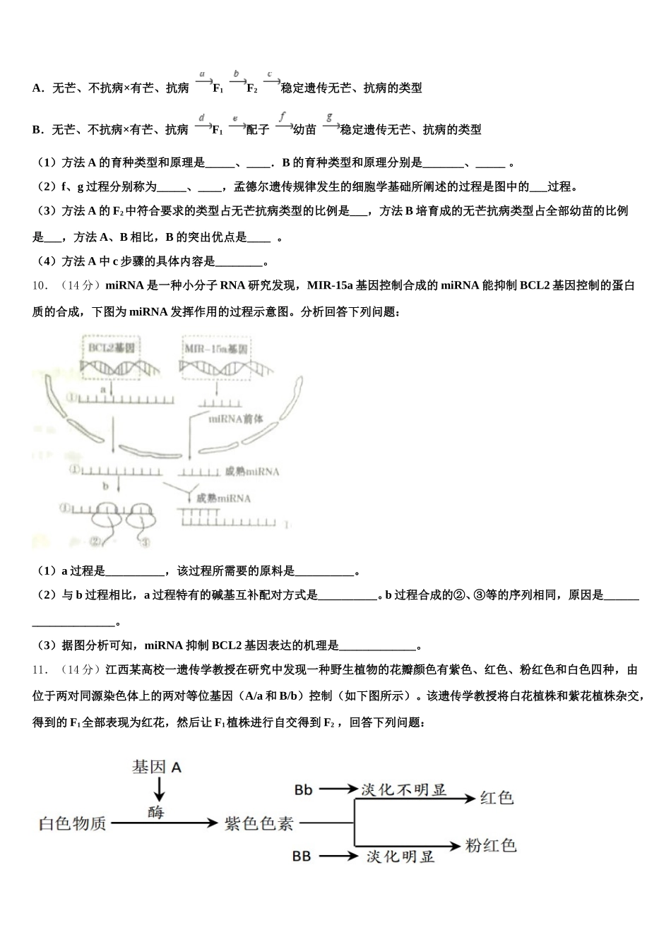 2025届山东省济宁市实验中学生物高一下期末学业质量监测模拟试题含解析_第3页