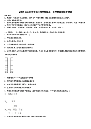 2025年山东省曹县三桐中学年高一下生物期末统考试题含解析