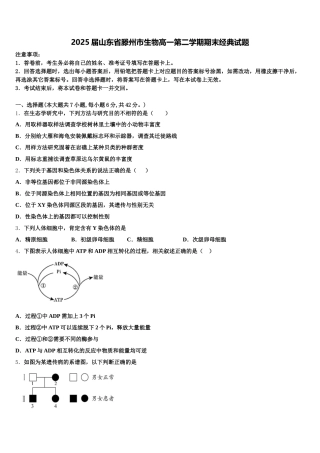 2025届山东省滕州市生物高一第二学期期末经典试题含解析
