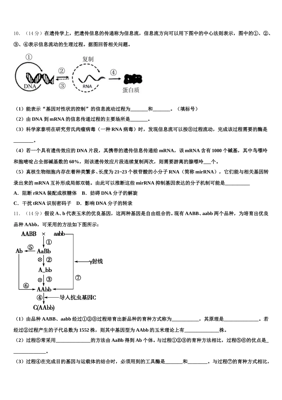 2025年泰安市重点中学生物高一下期末达标检测模拟试题含解析_第3页