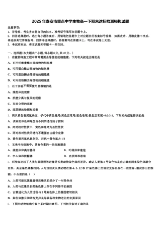 2025年泰安市重点中学生物高一下期末达标检测模拟试题含解析