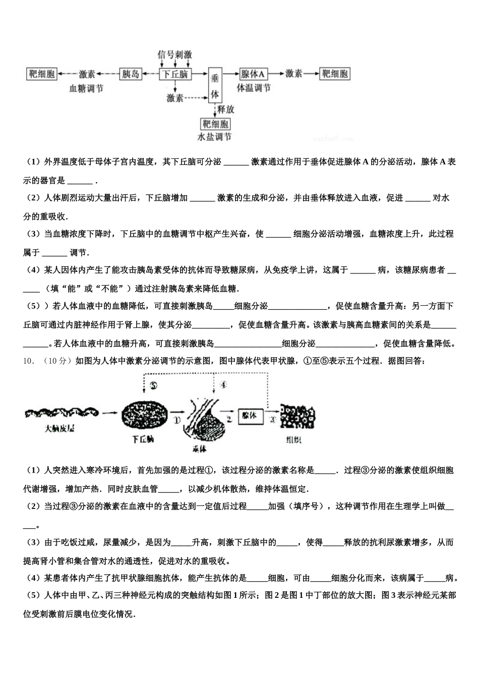 2025年山东省济南市济南外国语学校三箭分校高一下生物期末复习检测模拟试题含解析_第3页