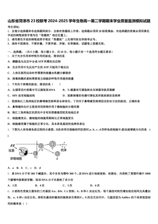 山东省菏泽市23校联考2024-2025学年生物高一第二学期期末学业质量监测模拟试题含解析