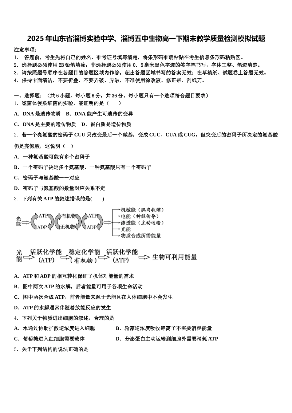 2025年山东省淄博实验中学、淄博五中生物高一下期末教学质量检测模拟试题含解析_第1页