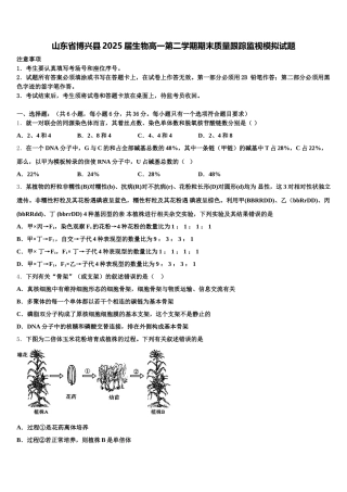 山东省博兴县2025届生物高一第二学期期末质量跟踪监视模拟试题含解析