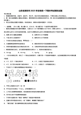 山东省潍坊市2025年生物高一下期末考试模拟试题含解析