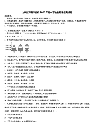 山东省济南市名校2025年高一下生物期末经典试题含解析