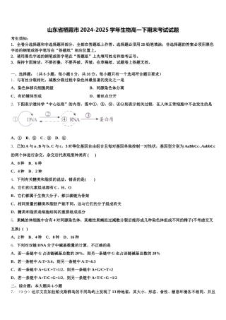 山东省栖霞市2024-2025学年生物高一下期末考试试题含解析