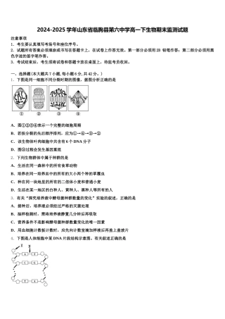 2024-2025学年山东省临朐县第六中学高一下生物期末监测试题含解析