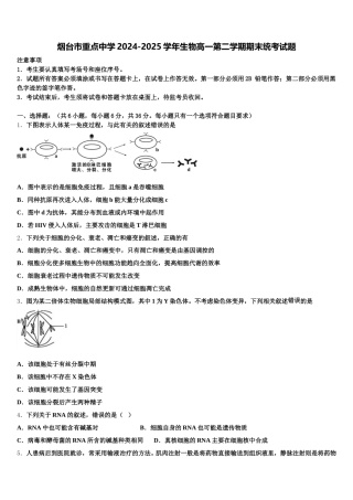 烟台市重点中学2024-2025学年生物高一第二学期期末统考试题含解析
