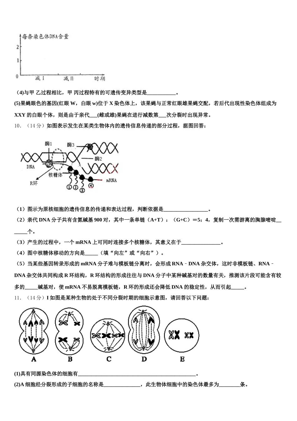 2024-2025学年山东省青岛市第五十八中生物高一第二学期期末经典试题含解析_第3页