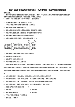 2024-2025学年山东省青岛市第五十八中生物高一第二学期期末经典试题含解析