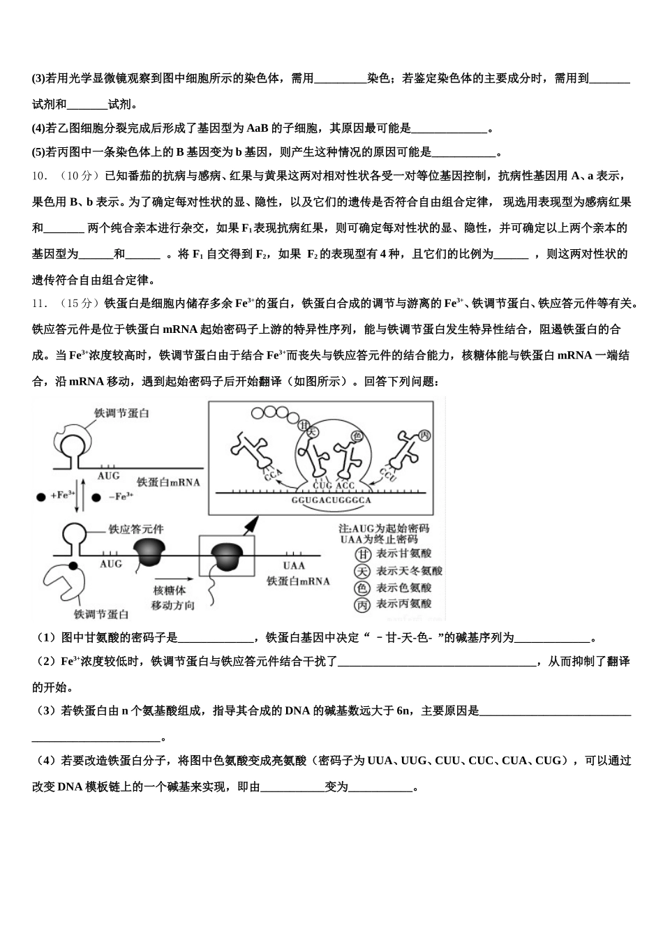 山东省泰安九中2025年生物高一下期末复习检测模拟试题含解析_第3页