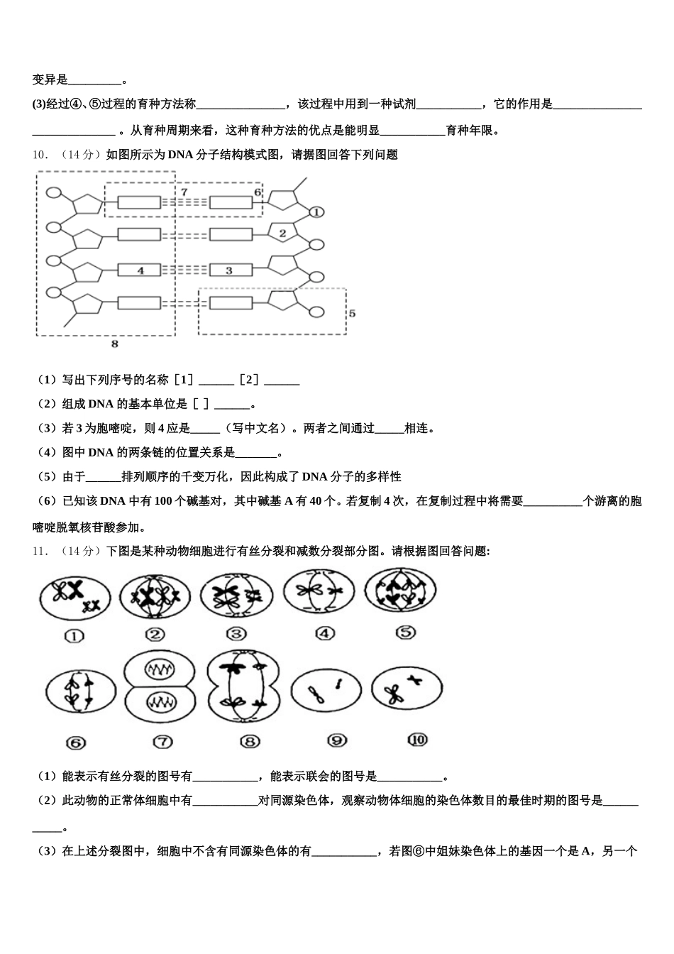 山东省德州一中2024-2025学年高一下生物期末统考模拟试题含解析_第3页