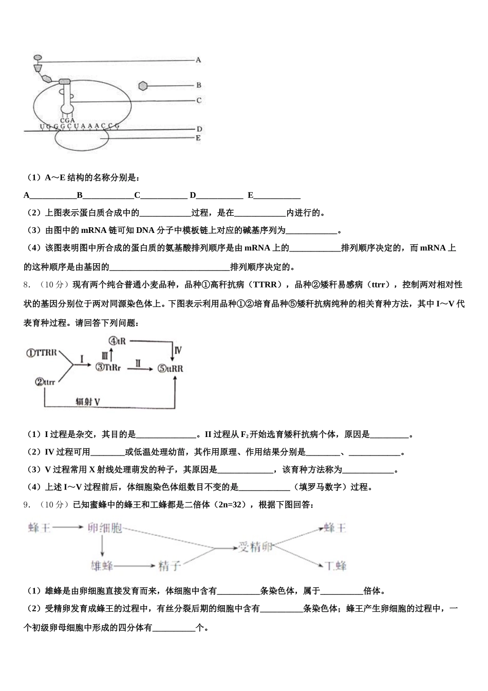 山东省济南市市中区山东省实验中学2025届生物高一下期末质量检测试题含解析_第2页