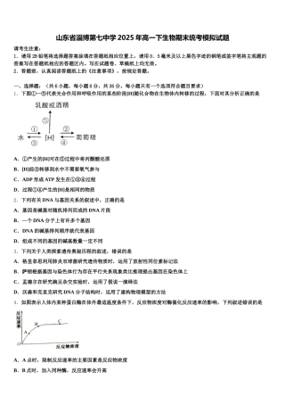 山东省淄博第七中学2025年高一下生物期末统考模拟试题含解析
