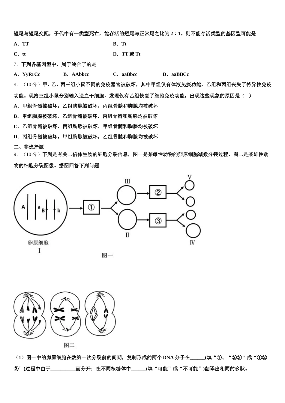 2025届山东省烟台市芝罘区烟台一中生物高一下期末复习检测模拟试题含解析_第2页