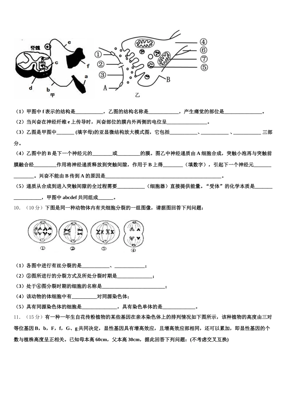 2025年山东省枣庄第八中学生物高一第二学期期末考试试题含解析_第3页