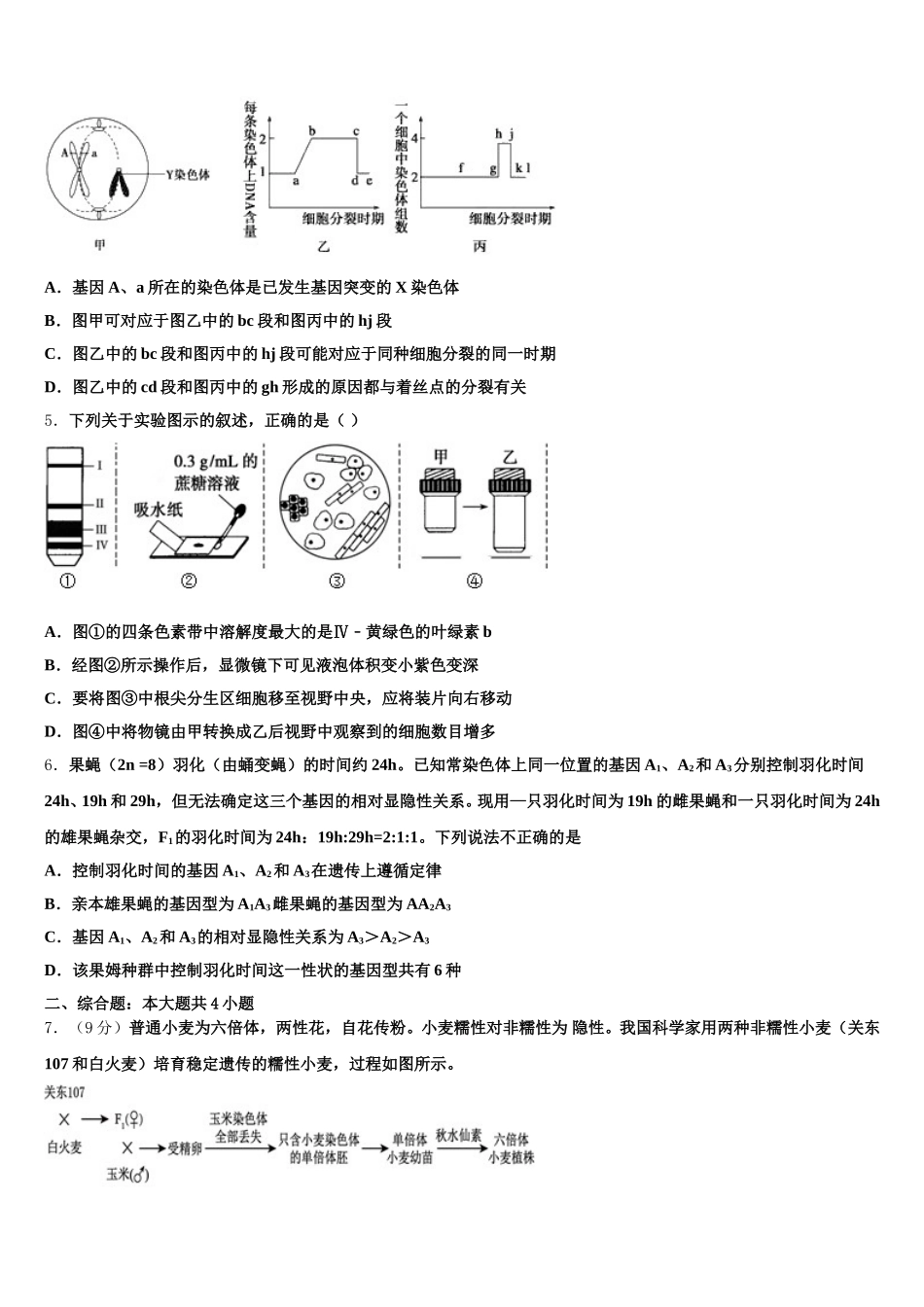 2024-2025学年山东省兖州市第一中学高一生物第二学期期末学业水平测试模拟试题含解析_第2页