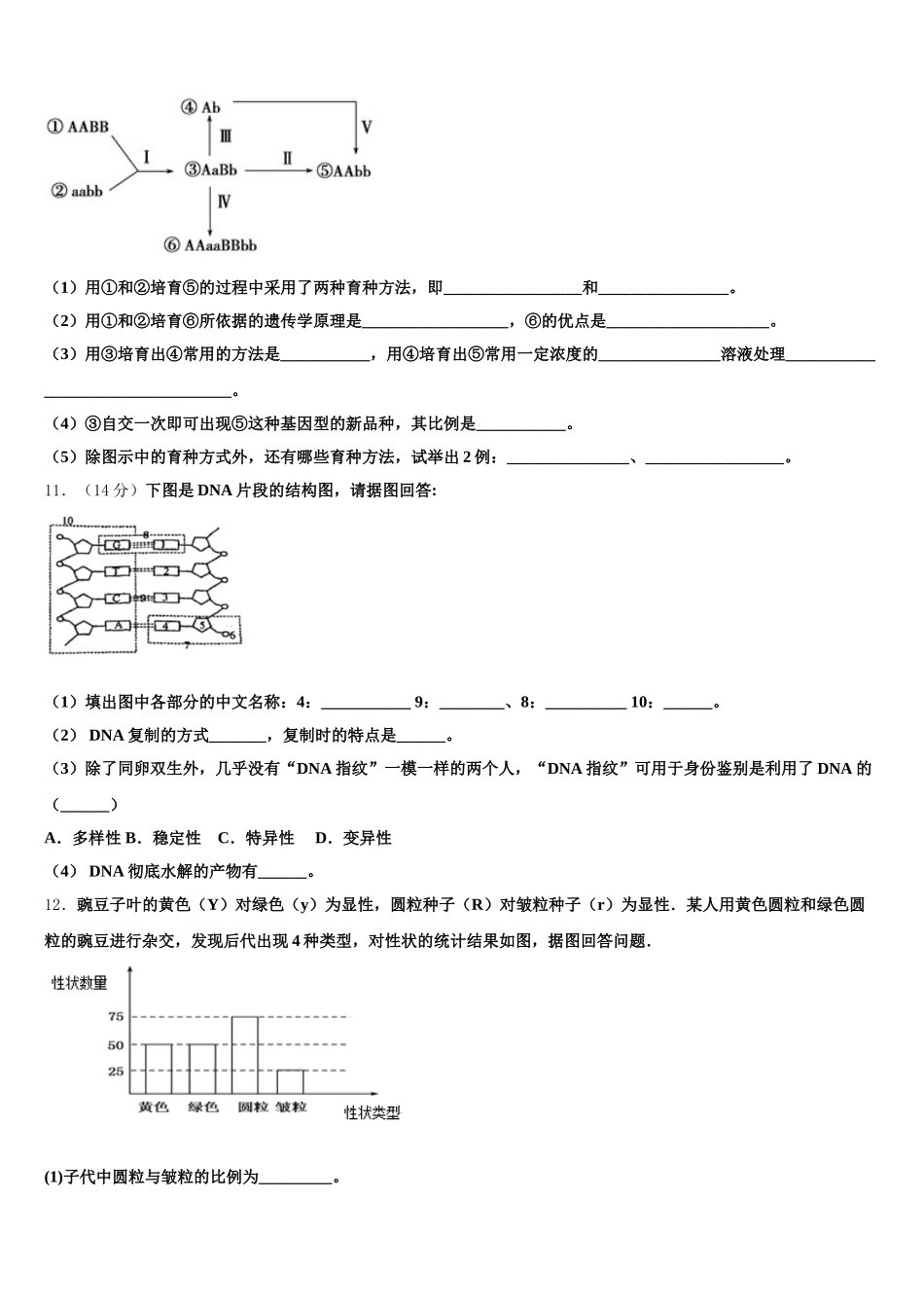 2025届山东省泰安市新泰市第二中学高一生物第二学期期末学业水平测试模拟试题含解析_第3页