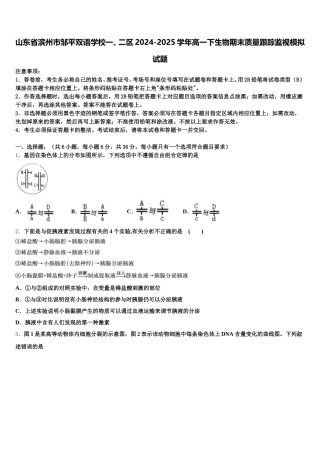 山东省滨州市邹平双语学校一、二区2024-2025学年高一下生物期末质量跟踪监视模拟试题含解析